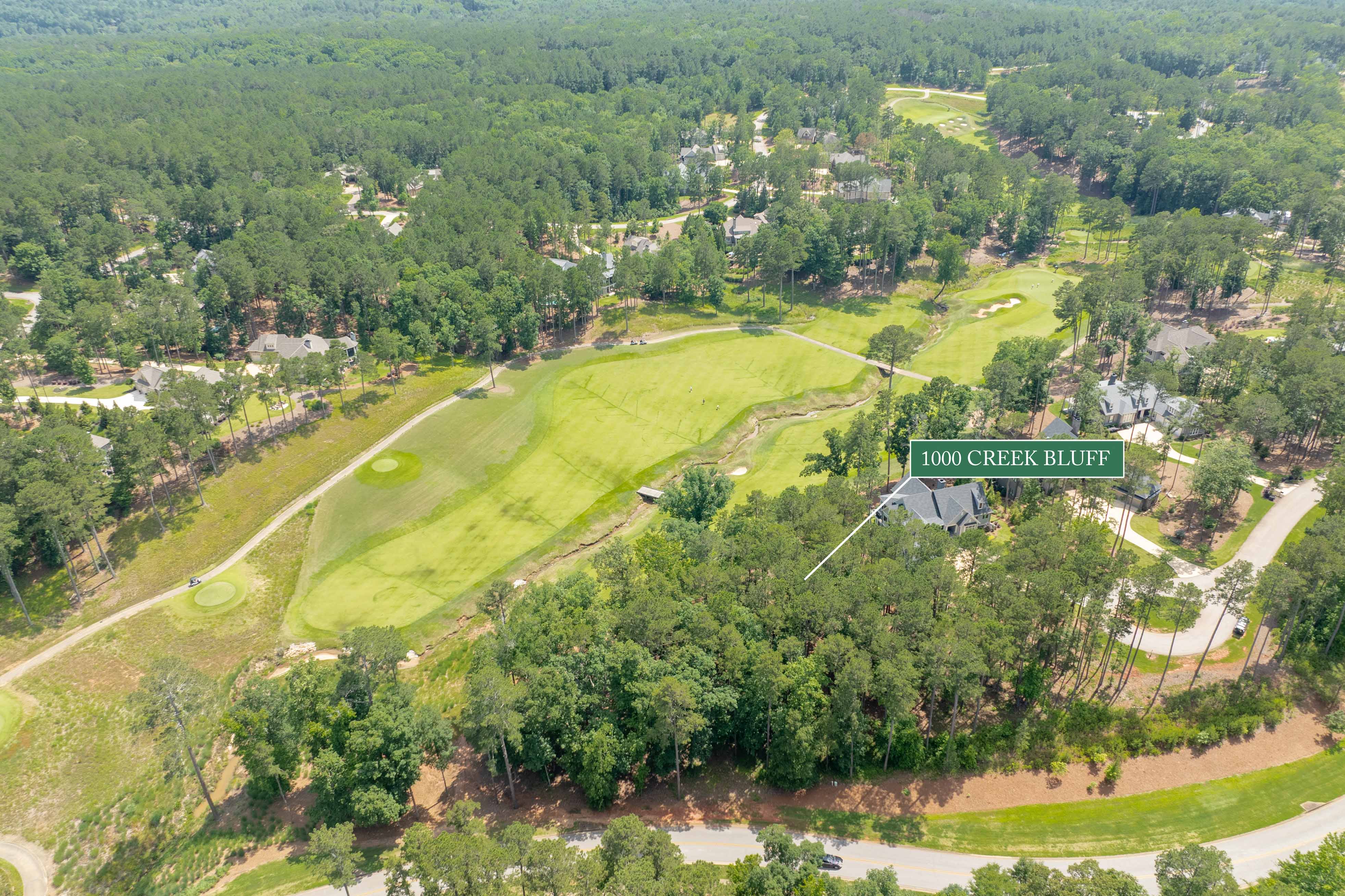 1000 Creek Bluff image 19